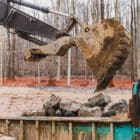 Pin Mounted Thumb for sale Scooping Rocks - Rockland Manufacturing